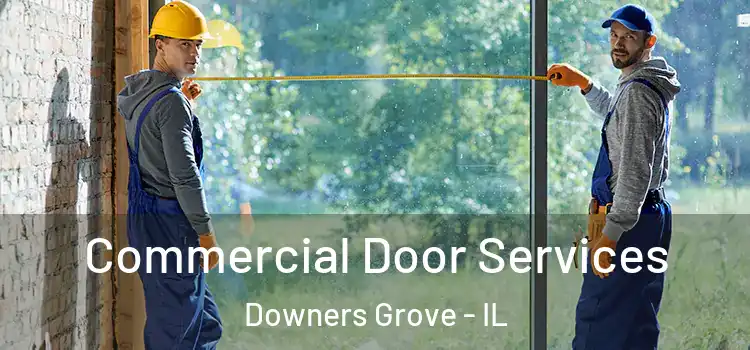 Commercial Door Services Downers Grove - IL