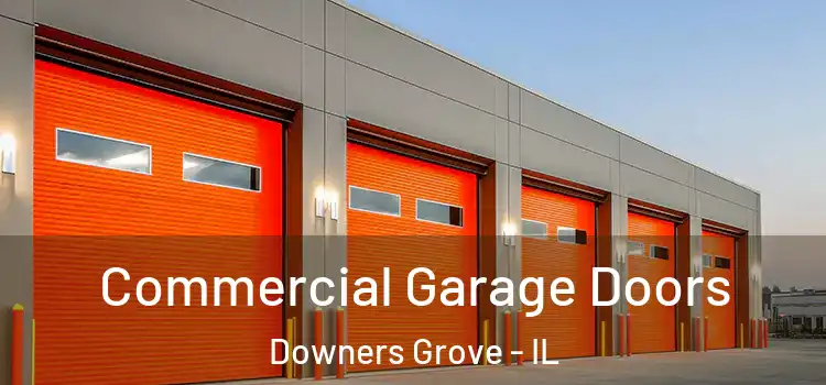  Commercial Garage Doors Downers Grove - IL