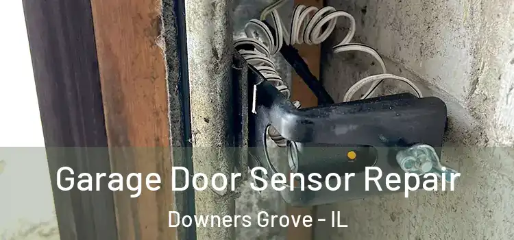Garage Door Sensor Repair Downers Grove - IL