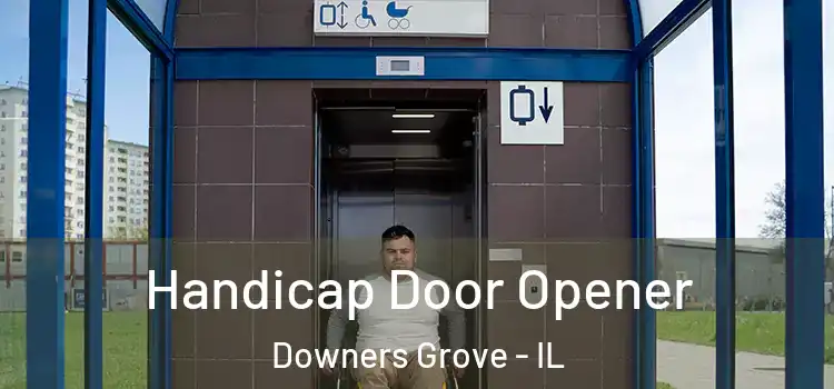  Handicap Door Opener Downers Grove - IL