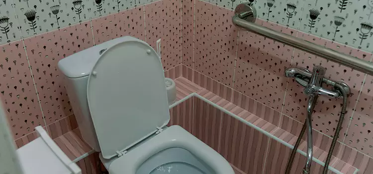 Meeting Diverse Needs With Accessible Restroom Solutions in Downers Grove, IL