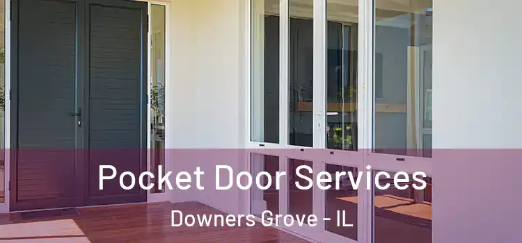 Pocket Door Services Downers Grove - IL