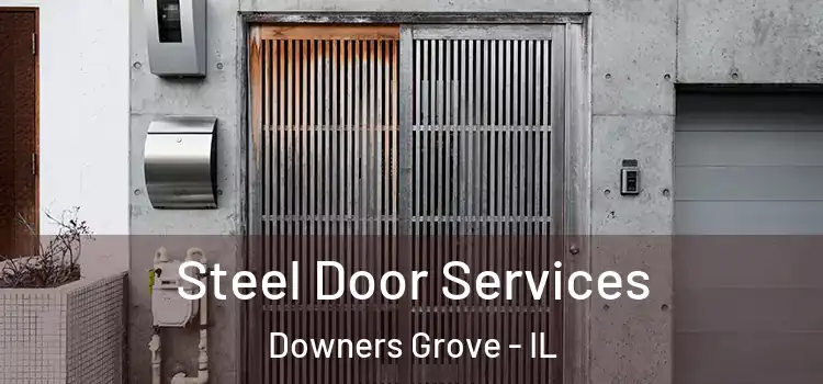 Steel Door Services Downers Grove - IL